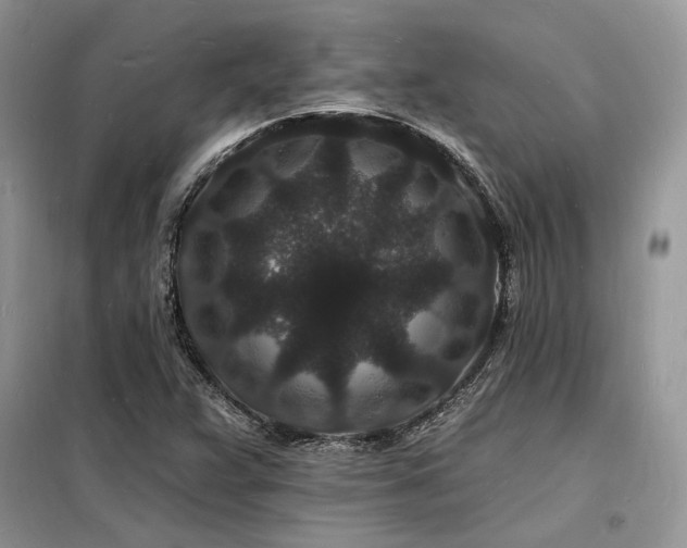 X0000098231359200804241331