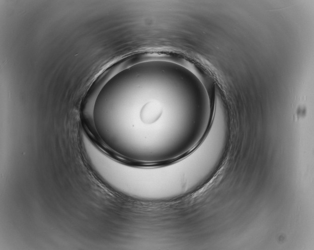 X0000098231361200804241331