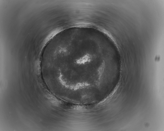 X0000098231362200804241331