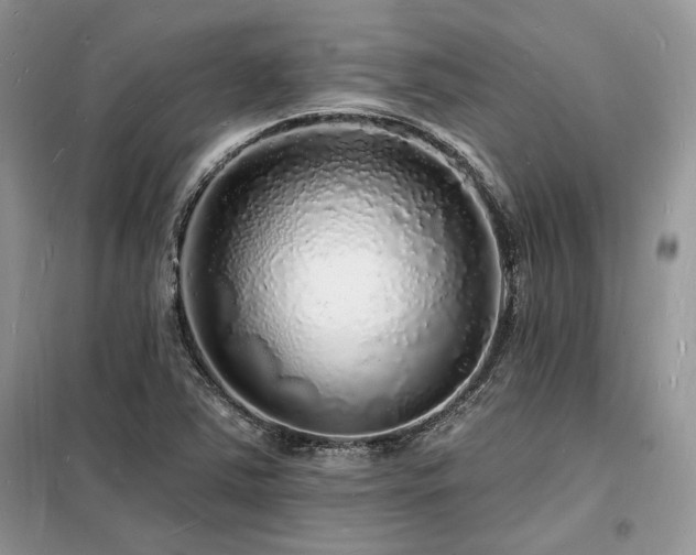X0000098231363200804241331