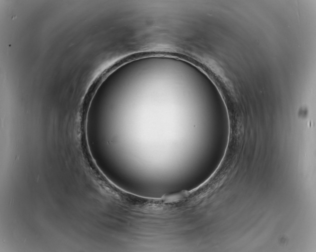 X0000098231364200804241331
