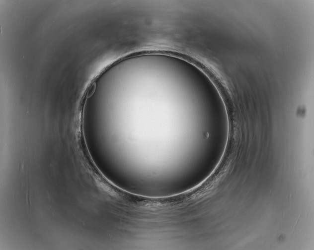 X0000098231366200804241331