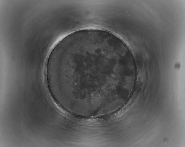 X0000098231367200804241331