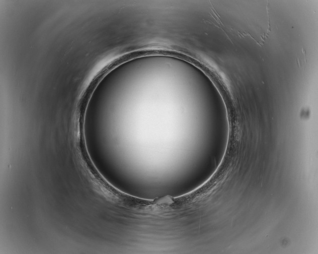 X0000098231368200804241331