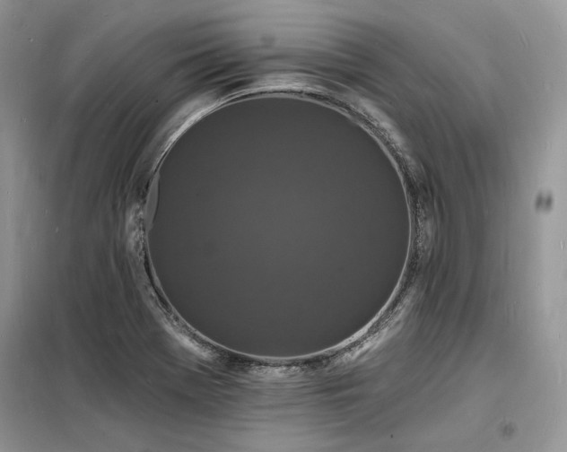 X0000098231369200804241331