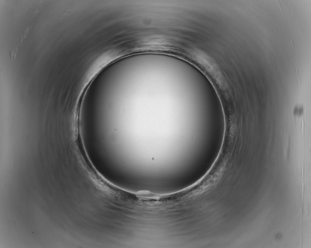 X0000098231370200804241331