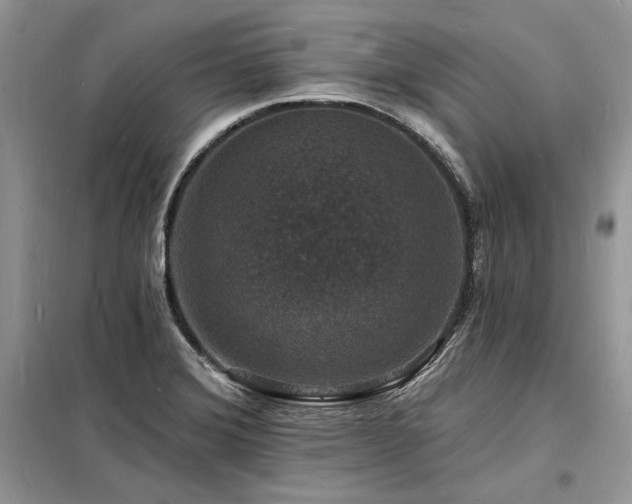 X0000098231372200804241331