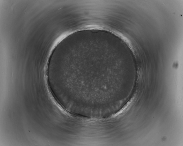 X0000098231373200804241331