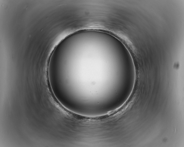 X0000098231374200804241331