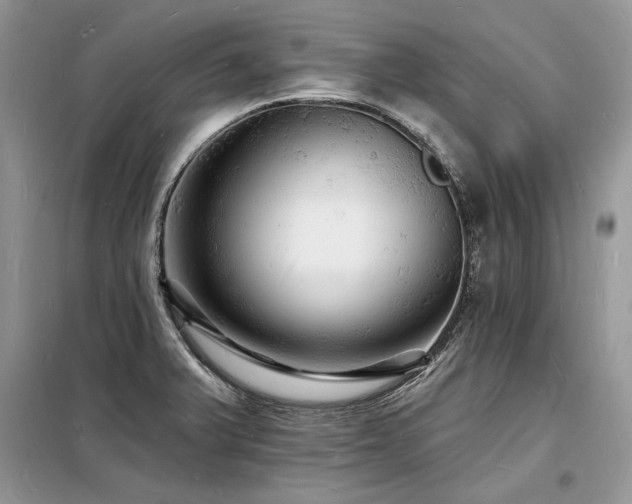X0000098231375200804241331