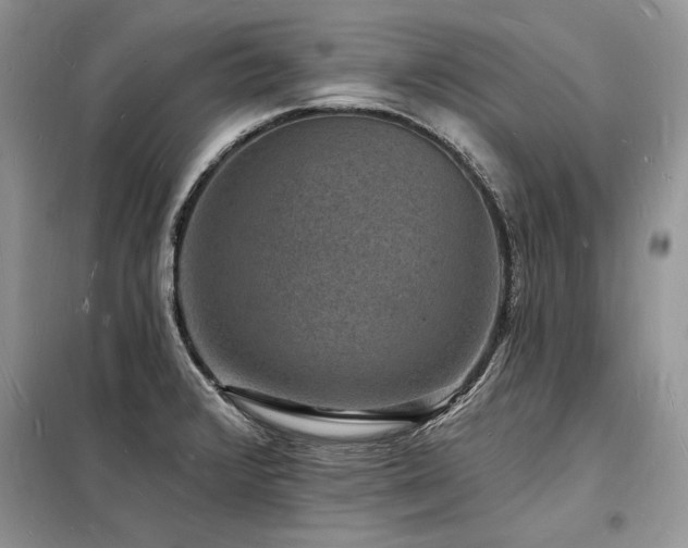 X0000098231376200804241331