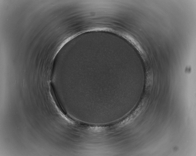 X0000098231377200804241331