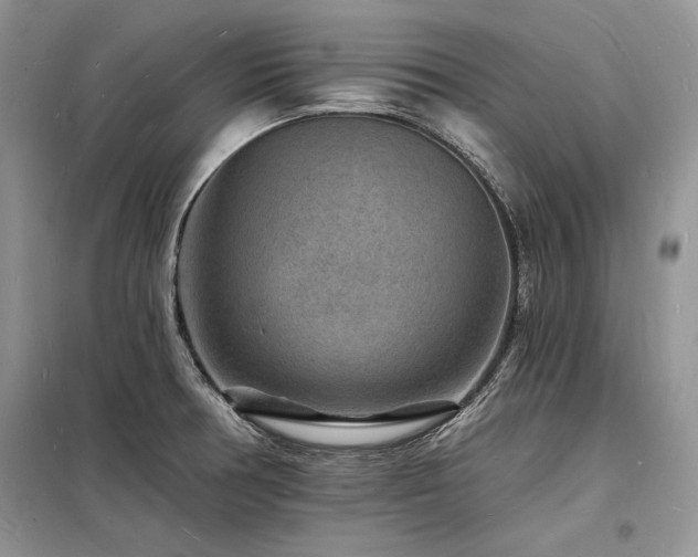 X0000098231378200804241331