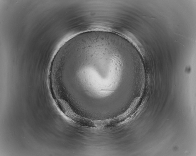 X0000098231379200804241331