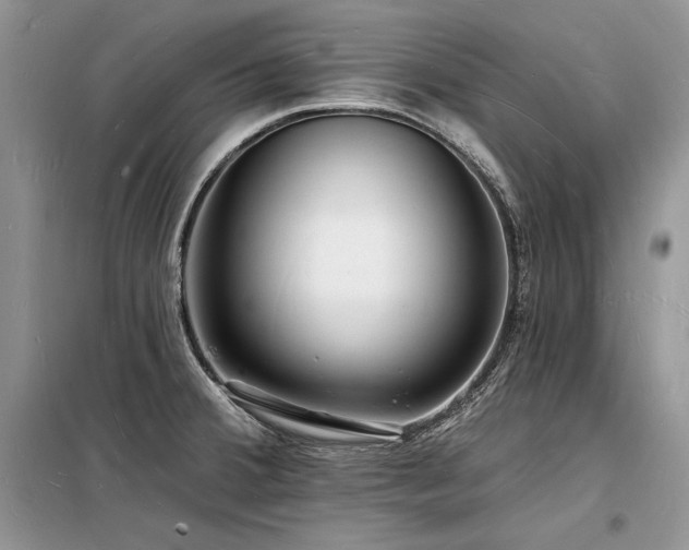 X0000098231380200804241331