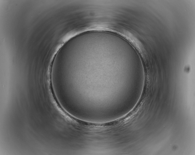 X0000098231382200804241331
