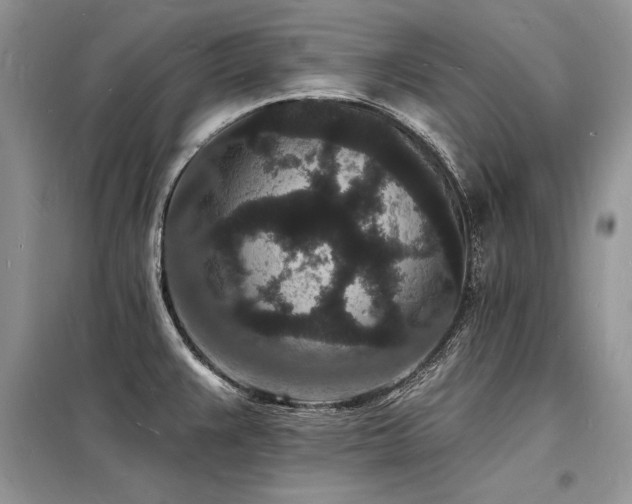 X0000098231383200804241331