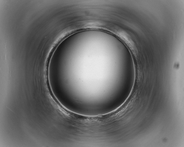 X0000098231384200804241331