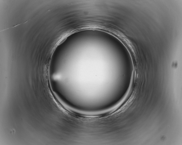 X0000098231385200804241331