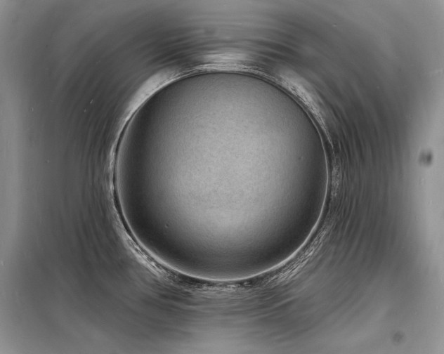 X0000098231386200804241331