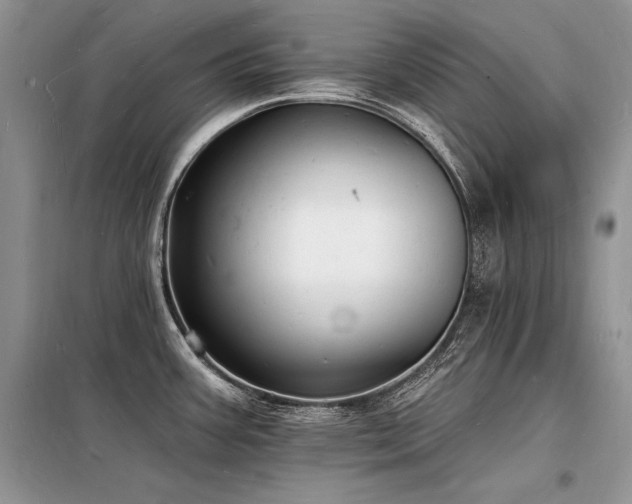 X0000098231387200804241331