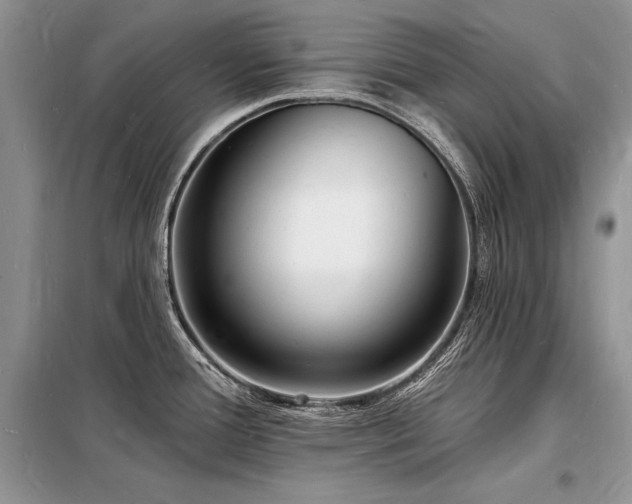 X0000098231388200804241331