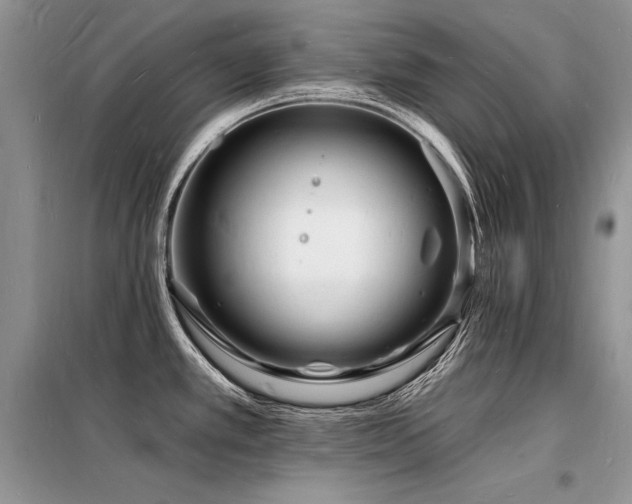 X0000098231389200804241330