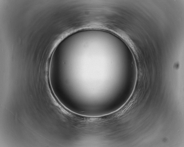 X0000098231390200804241330