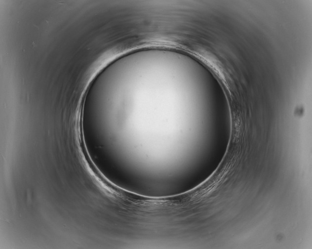 X0000098231391200804241330
