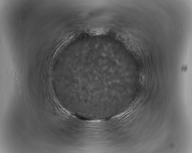 X0000098231393200804241330