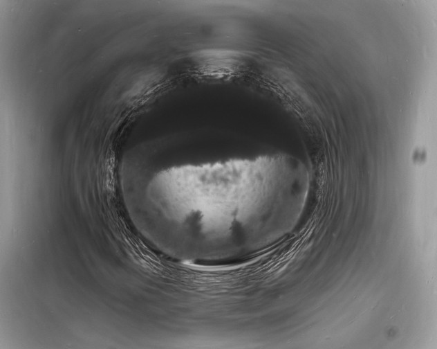 X0000098231394200804241330