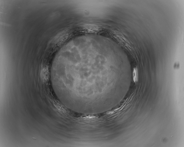 X0000098231395200804241330