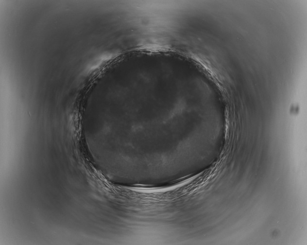 X0000098231398200804241330