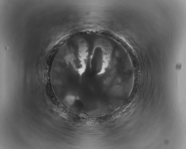 X0000098231399200804241330