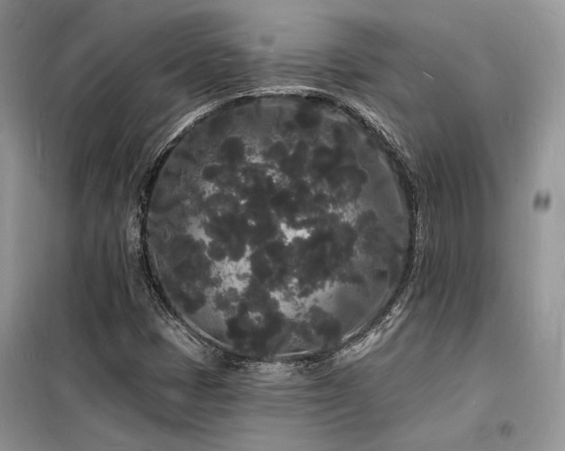 X0000098231401200804241330