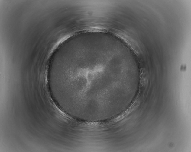 X0000098231402200804241330