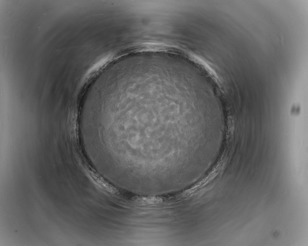 X0000098231403200804241330