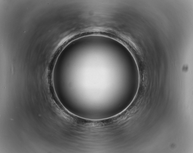 X0000098231404200804241330