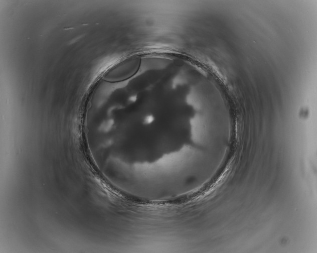 X0000098231405200804241330