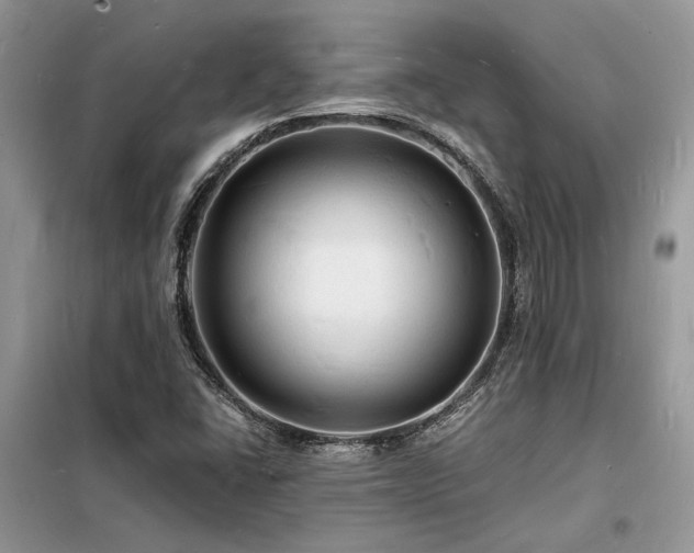 X0000098231406200804241330