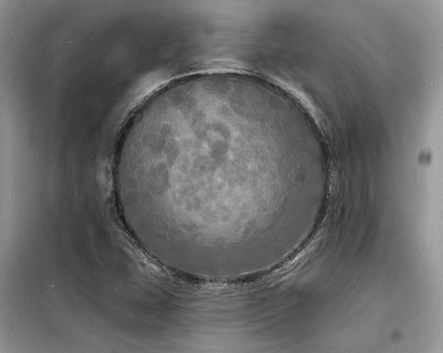 X0000098231407200804241330