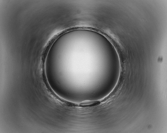 X0000098231408200804241330