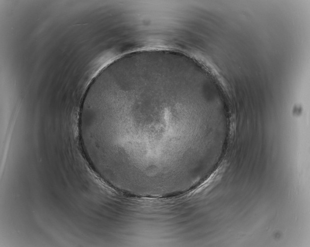 X0000098231409200804241330