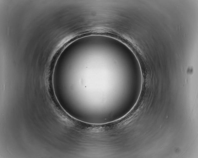 X0000098231410200804241330