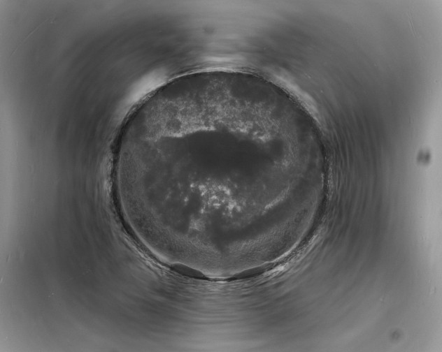 X0000098231411200804241330