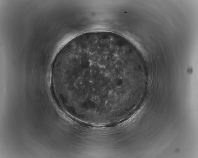 X0000098231413200804241330