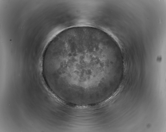 X0000098231415200804241330