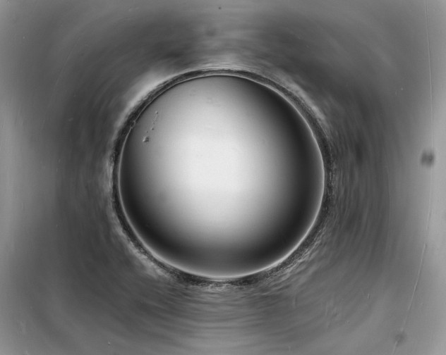 X0000098231416200804241330