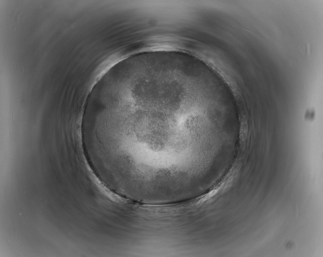 X0000098231417200804241330