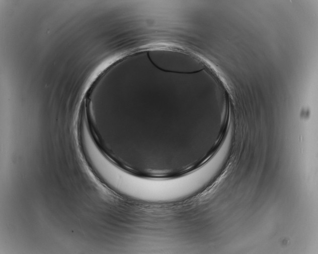 X0000098231418200804241330